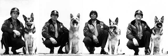 Pittsburg Police Officers and their dogs